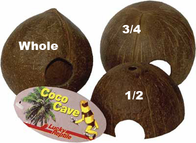 кокосы