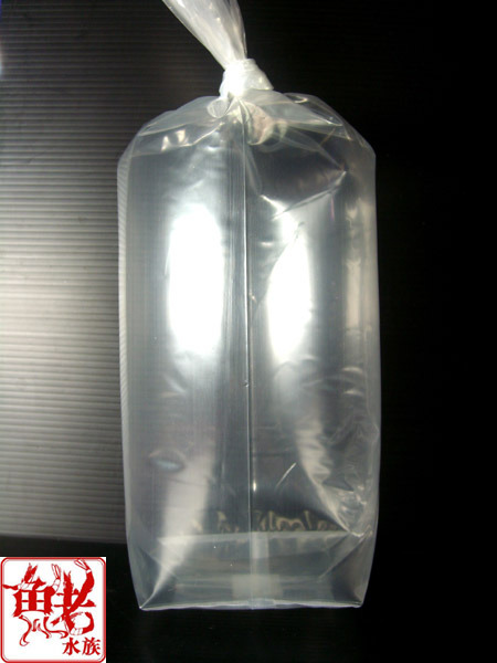 Пластиковые пакеты для безопасной транспортировки креветок