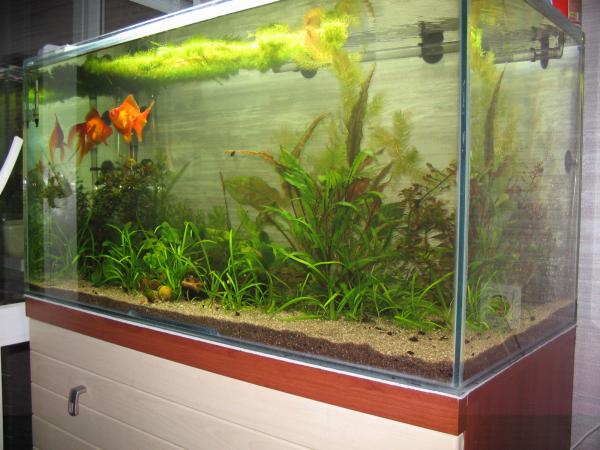 Декор 180 литрового аквариума